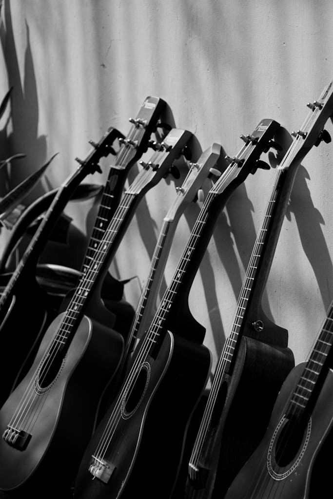 Black and white of various classic guitars placed near wall on sunny day